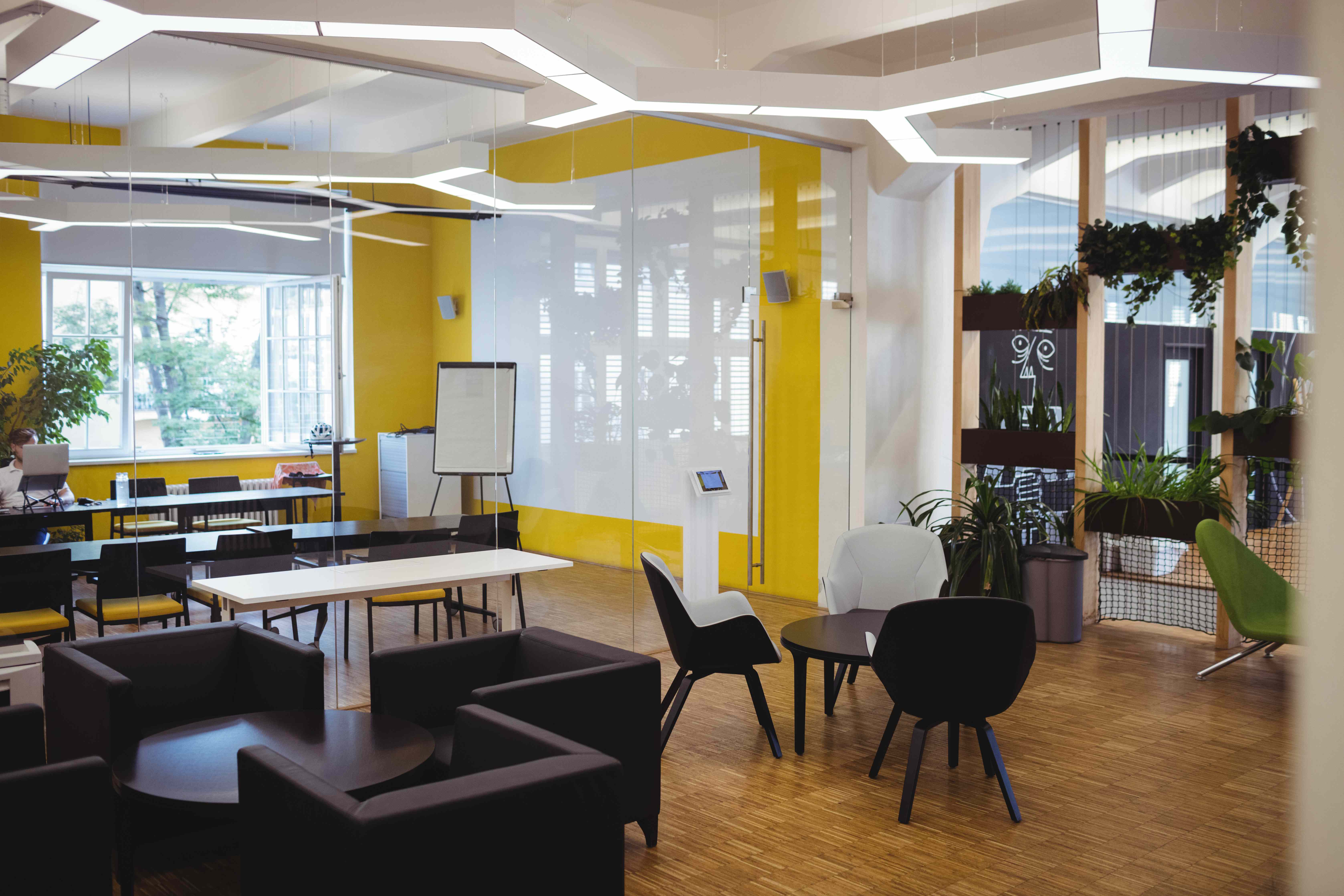 Minimalist office with glass partitions
